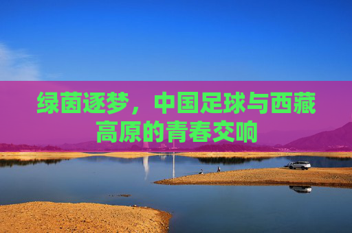 绿茵逐梦,中国足球与西藏高原的青春交响