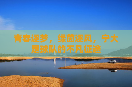青春逐梦,绿茵逐风,宁大足球队的不凡征途