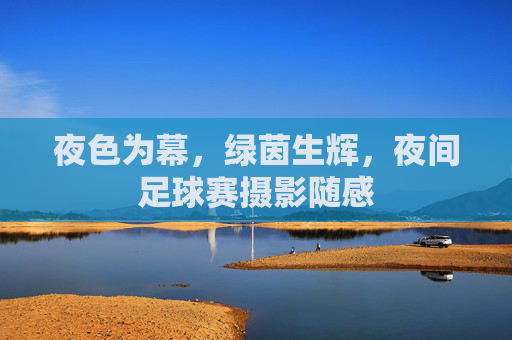 夜色为幕，绿茵生辉，夜间足球赛摄影随感