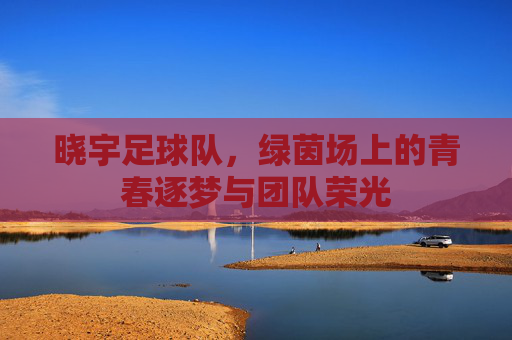 晓宇足球队,绿茵场上的青春逐梦与团队荣光