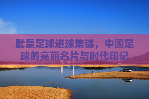 武磊足球进球集锦,中国足球的亮丽名片与时代印记