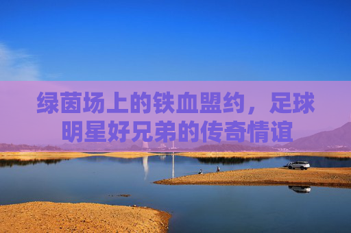绿茵场上的铁血盟约,足球明星好兄弟的传奇情谊