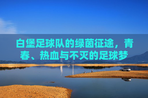 白堡足球队的绿茵征途，青春、热血与不灭的足球梦