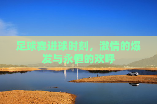 足球赛进球时刻,激情的爆发与永恒的欢呼
