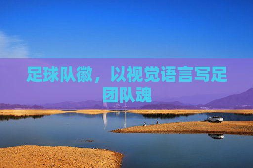 足球队徽,以视觉语言写足团队魂