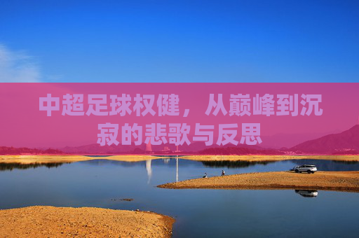 中超足球权健，从巅峰到沉寂的悲歌与反思