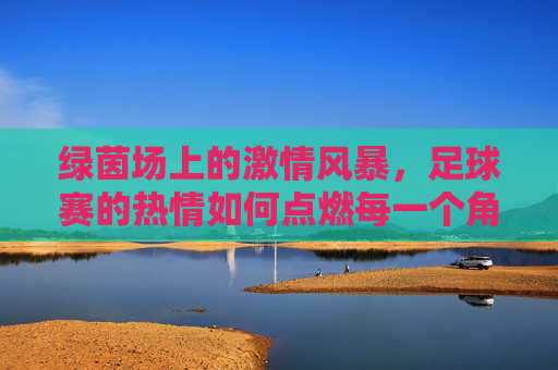 绿茵场上的激情风暴,足球赛的热情如何点燃每一个角落,绿茵场上的激情风暴,足球热情点燃每一个角落