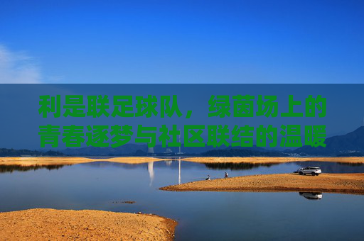 利是联足球队,绿茵场上的青春逐梦与社区联结的温暖篇章