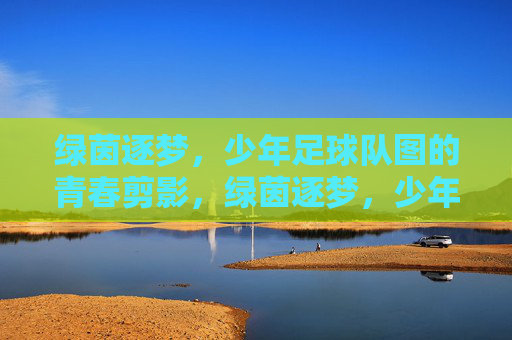 绿茵逐梦，少年足球队图的青春剪影，绿茵逐梦，少年足球队的青春剪影