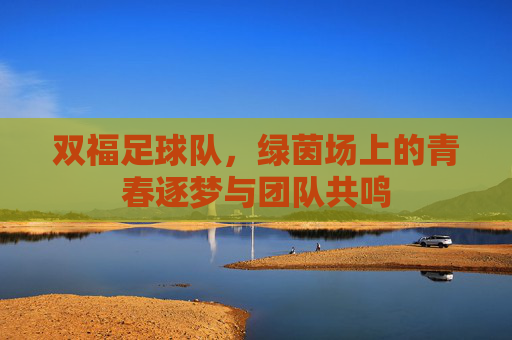 双福足球队,绿茵场上的青春逐梦与团队共鸣