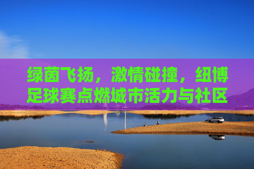 绿茵飞扬,激情碰撞,纽博足球赛点燃城市活力与社区温情