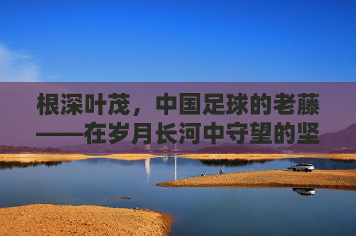 根深叶茂,中国足球的老藤——在岁月长河中守望的坚守者