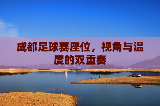 成都足球赛座位,视角与温度的双重奏