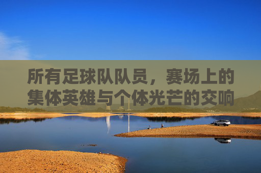 所有足球队队员,赛场上的集体英雄与个体光芒的交响