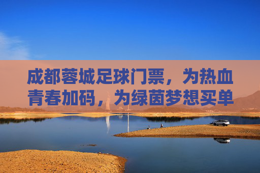 成都蓉城足球门票,为热血青春加码,为绿茵梦想买单