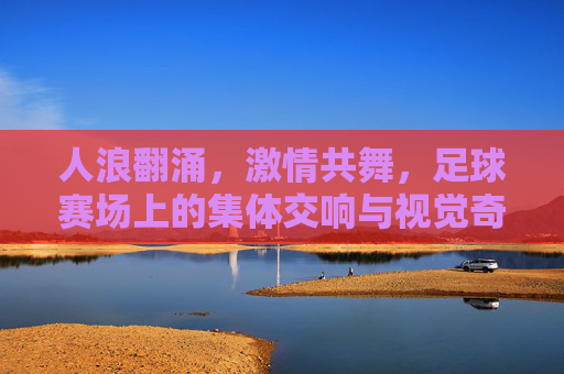 人浪翻涌，激情共舞，足球赛场上的集体交响与视觉奇观