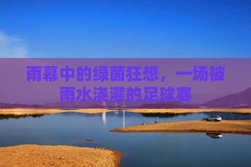 雨幕中的绿茵狂想，一场被雨水浇灌的足球赛