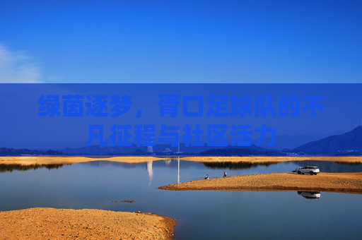 绿茵逐梦,胥口足球队的不凡征程与社区活力