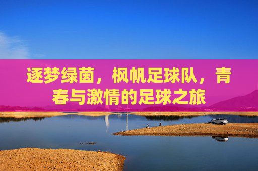 逐梦绿茵，枫帆足球队，青春与激情的足球之旅