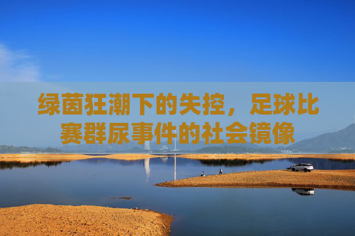 绿茵狂潮下的失控,足球比赛群尿事件的社会镜像
