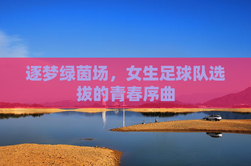 逐梦绿茵场,女生足球队选拔的青春序曲