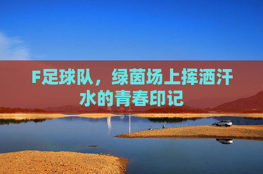 F足球队,绿茵场上挥洒汗水的青春印记