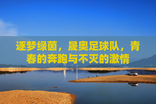 逐梦绿茵,晟奥足球队,青春的奔跑与不灭的激情