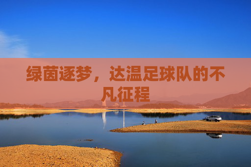 绿茵逐梦，达温足球队的不凡征程