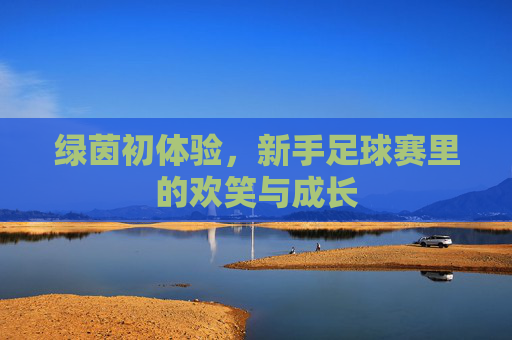 绿茵初体验,新手足球赛里的欢笑与成长