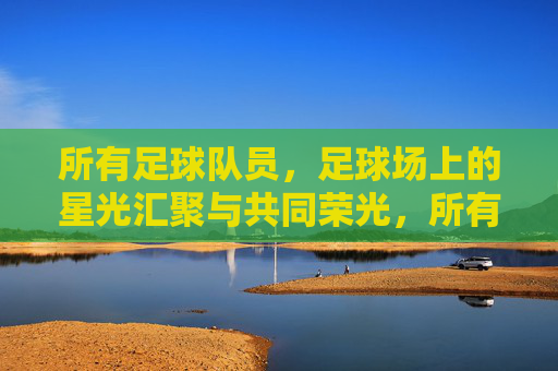 所有足球队员,足球场上的星光汇聚与共同荣光,所有足球队员,足球场上的星光汇聚与共同荣光