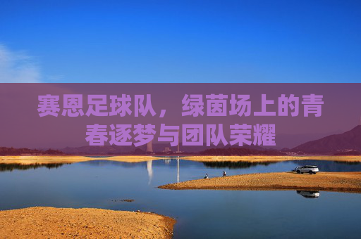 赛恩足球队,绿茵场上的青春逐梦与团队荣耀