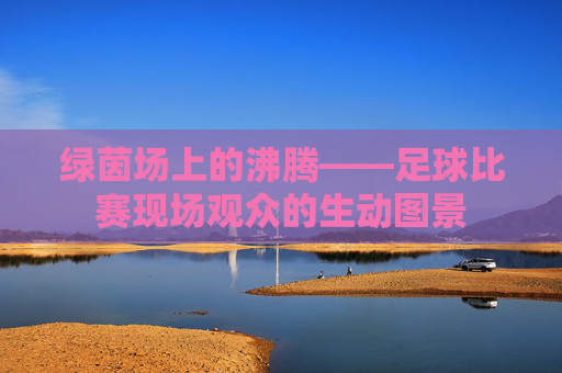 绿茵场上的沸腾——足球比赛现场观众的生动图景