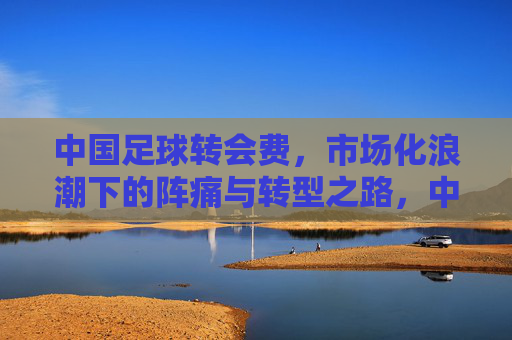 中国足球转会费，市场化浪潮下的阵痛与转型之路，中国足球转会费，市场化浪潮下的阵痛与转型之路