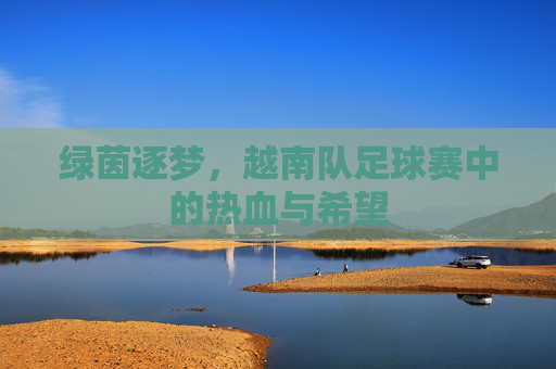 绿茵逐梦,越南队足球赛中的热血与希望