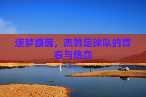 逐梦绿茵,杰豹足球队的青春与热血