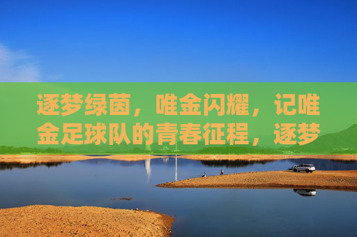 逐梦绿茵,唯金闪耀,记唯金足球队的青春征程,逐梦绿茵,唯金闪耀,记唯金足球队的青春征程