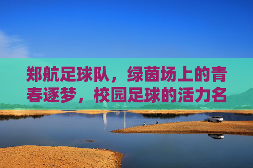 郑航足球队，绿茵场上的青春逐梦，校园足球的活力名片，郑航足球队，绿茵场上的青春逐梦，校园足球的活力名片
