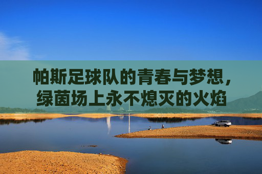 帕斯足球队的青春与梦想，绿茵场上永不熄灭的火焰