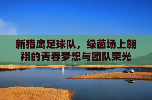 新猎鹰足球队,绿茵场上翱翔的青春梦想与团队荣光