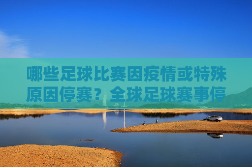 哪些足球比赛因疫情或特殊原因停赛?全球足球赛事停赛情况梳理,全球足球赛事停赛情况梳理,哪些因疫情或特殊原因停赛的赛事盘点