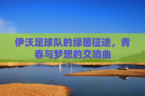 伊沃足球队的绿茵征途,青春与梦想的交响曲