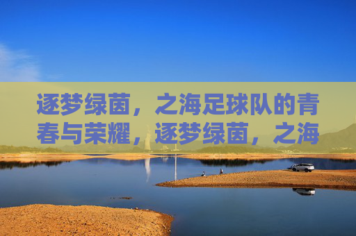 逐梦绿茵,之海足球队的青春与荣耀,逐梦绿茵,之海足球队的青春与荣耀