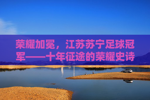 荣耀加冕，江苏苏宁足球冠军——十年征途的荣耀史诗与时代印记，荣耀加冕，江苏苏宁足球冠军——十年征途的荣耀史诗与时代印记
