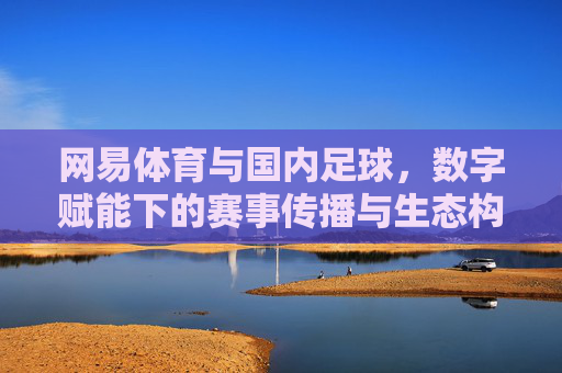网易体育与国内足球,数字赋能下的赛事传播与生态构建,网易体育与国内足球,数字赋能下的赛事传播与生态构建
