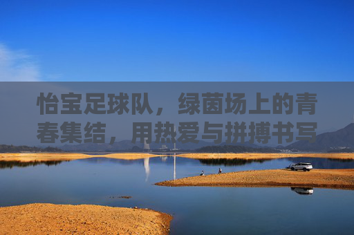 怡宝足球队,绿茵场上的青春集结,用热爱与拼搏书写足球新篇章,怡宝足球队,绿茵场上的青春集结,以热爱与拼搏书写足球新篇章