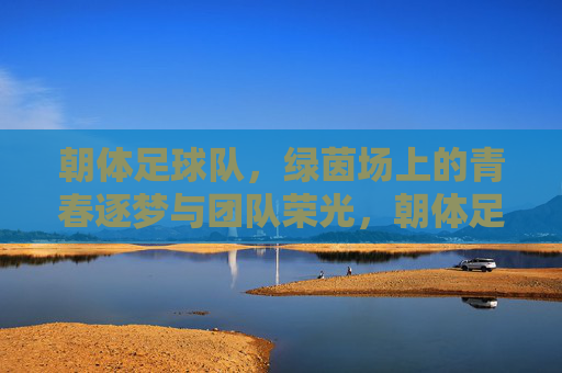 朝体足球队,绿茵场上的青春逐梦与团队荣光,朝体足球队,绿茵场上的青春逐梦与团队荣光