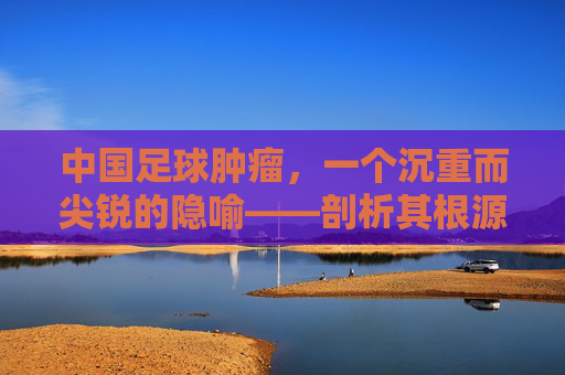 中国足球肿瘤，一个沉重而尖锐的隐喻——剖析其根源与困境，中国足球肿瘤，一个沉重而尖锐的隐喻——剖析其根源与困境