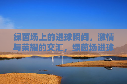 绿茵场上的进球瞬间，激情与荣耀的交汇，绿茵场进球瞬间，激情与荣耀的交汇