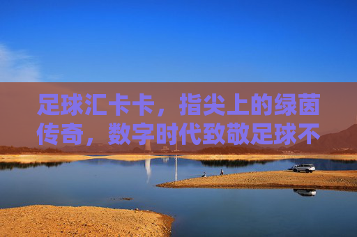 足球汇卡卡,指尖上的绿茵传奇,数字时代致敬足球不朽精神,足球汇卡卡,指尖上的绿茵传奇,数字时代致敬足球不朽精神