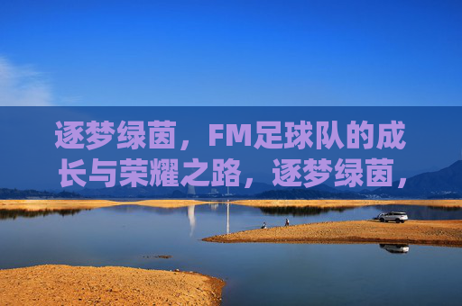 逐梦绿茵,FM足球队的成长与荣耀之路,逐梦绿茵,FM足球队的成长与荣耀之路